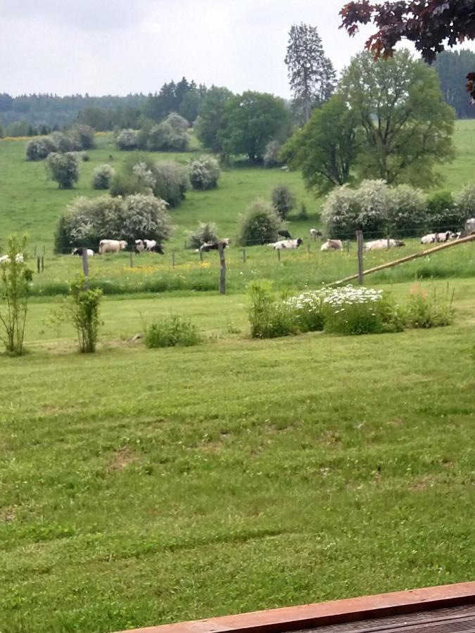 Abri De Jardin Villa Vielsalm Esterno foto