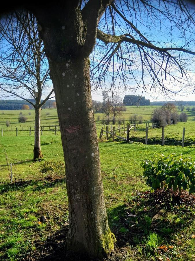 Abri De Jardin Villa Vielsalm Esterno foto