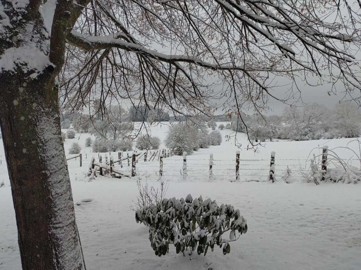 Abri De Jardin Villa Vielsalm Esterno foto