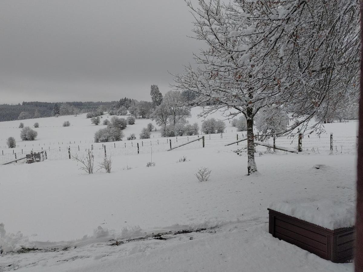 Abri De Jardin Villa Vielsalm Esterno foto